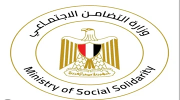 وظائف وزارة التضامن تتوسع لتعزيز الخدمات المجتمعية.. شروط التقديم والمستندات المطلوبة 1